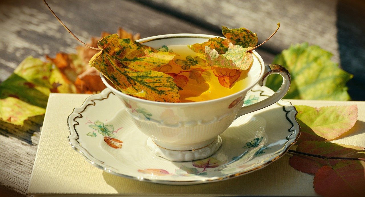 Exploring the Intriguing Porcelain World